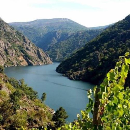 Unidas Podemos insta á Xunta a protexer á Ribeira Sacra da ofensiva eólica