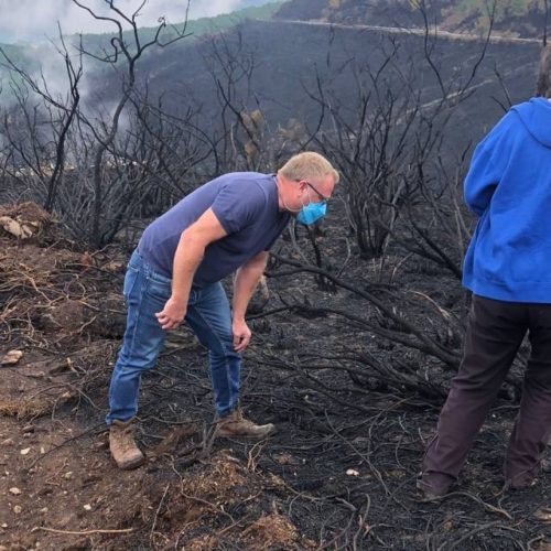 Avaliadas medidas de recuperación das zonas afectadas polos incendios en Ribas de Sil