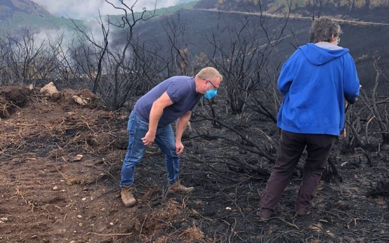 Avaliadas medidas de recuperación das zonas afectadas polos incendios en Ribas de Sil
