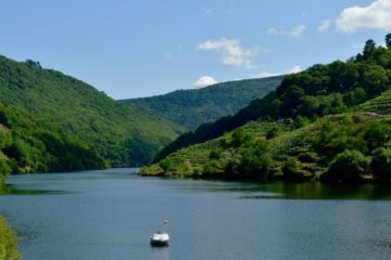 A Unesco declara a Ribeira Sacra e Serras do Oribio e Courel a sétima reserva da biosfera de Galicia