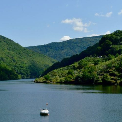 A Unesco declara a Ribeira Sacra e Serras do Oribio e Courel a sétima reserva da biosfera de Galicia
