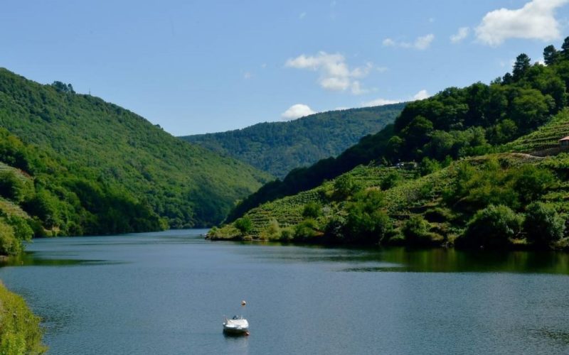 A Unesco declara a Ribeira Sacra e Serras do Oribio e Courel a sétima reserva da biosfera de Galicia