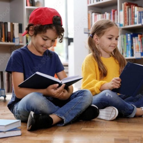 A Biblioteca Viaxeira en Salvaterra