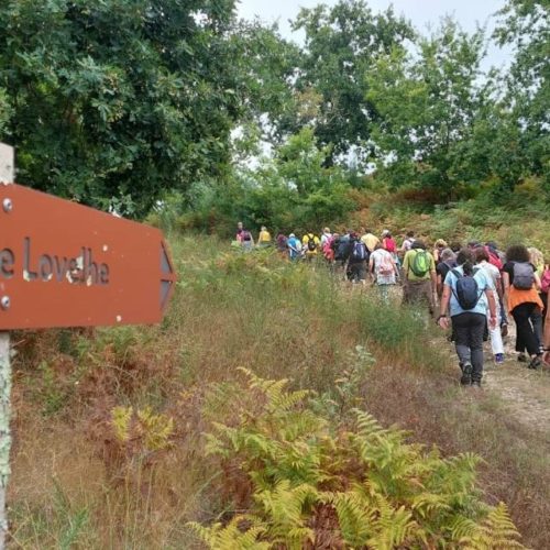 Éxito de participación nos Roteiros do Miño da Eurocidade Cerveira-Tomiño