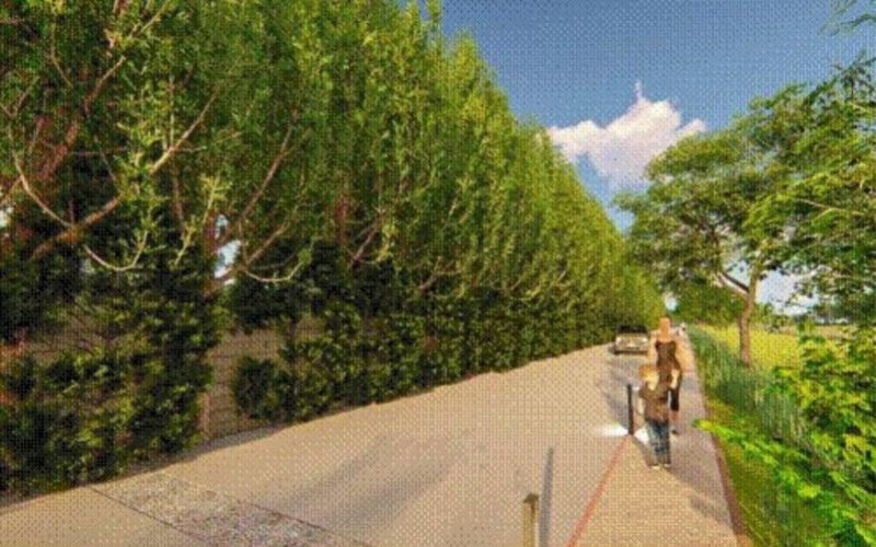 Tui mellorará a vía e acceso á Praia Fluvial Areeiros