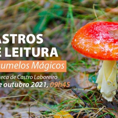 Melgaço convida a conhecer os cogumelos de Castro Laboreiro