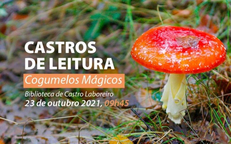 Melgaço convida a conhecer os cogumelos de Castro Laboreiro