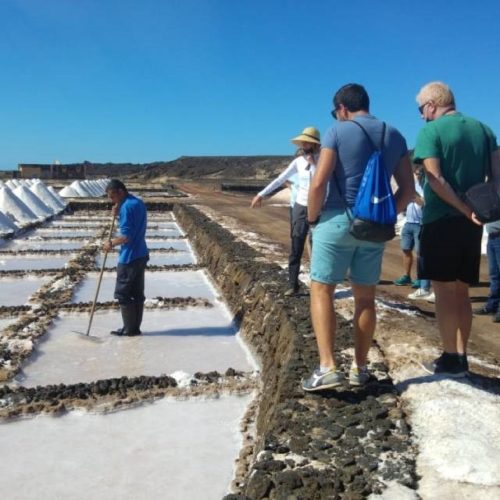 Visita de estudo da GALP das Rías Baixas a Canarias