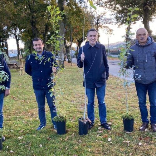 Quinze mil árvores para celebrar o Dia da Floresta Autóctone em Paredes de Coura