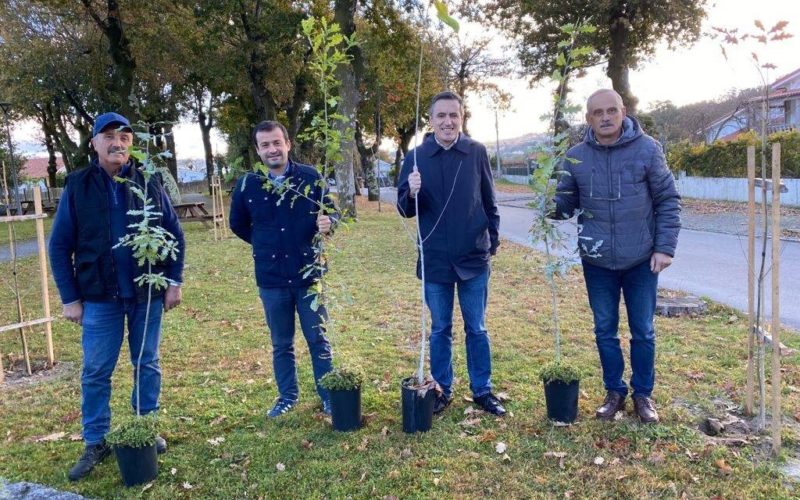 Quinze mil árvores para celebrar o Dia da Floresta Autóctone em Paredes de Coura