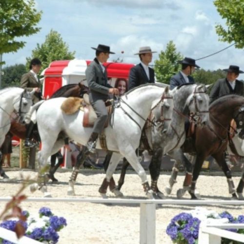 Feira do Cavalo de Ponte de Lima 2022