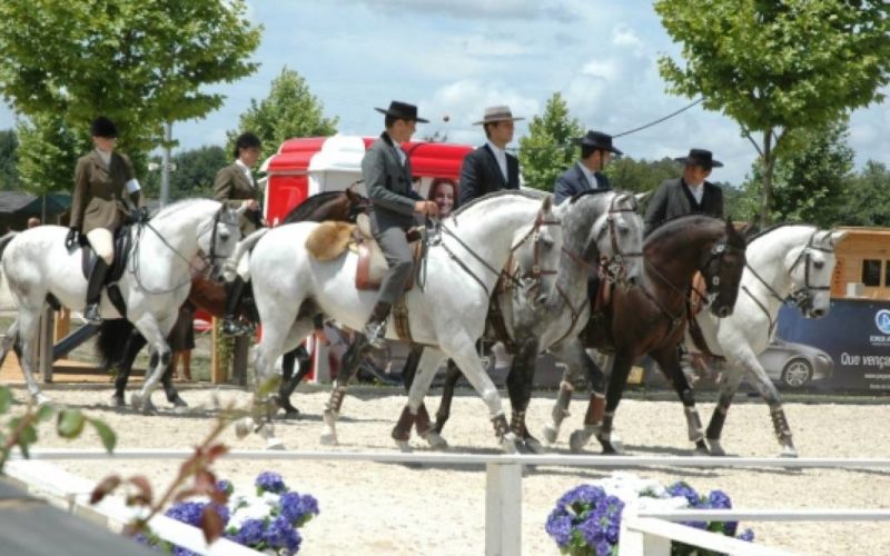 Feira do Cavalo de Ponte de Lima 2022