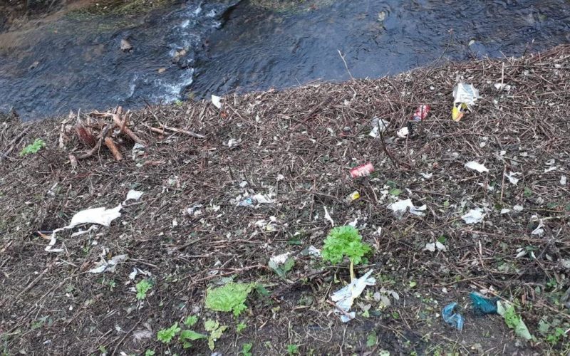 PSdeG denuncia o “arboricidio” no Río Barbaña en Ourense