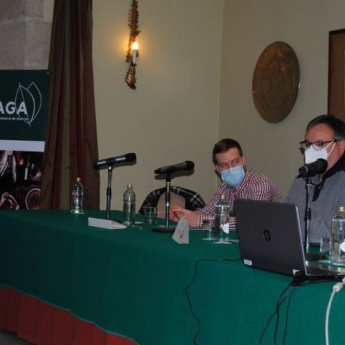Proxecto piloto en Monforte para o peche de ciclos produtivos en ovino e caprino
