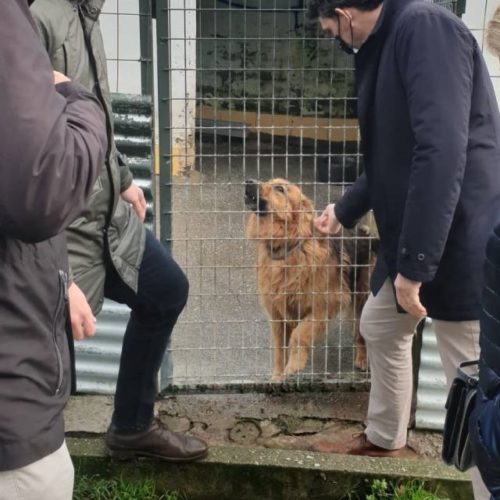 A Xunta apoia o labor da Sociedade Protectora de Animais e Prantas de Lugo