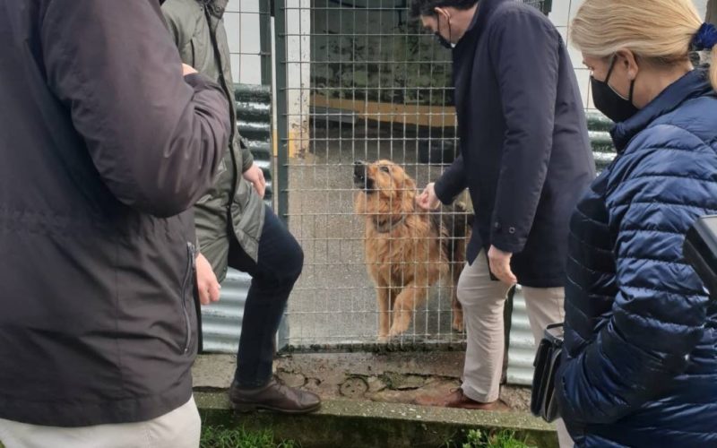 A Xunta apoia o labor da Sociedade Protectora de Animais e Prantas de Lugo