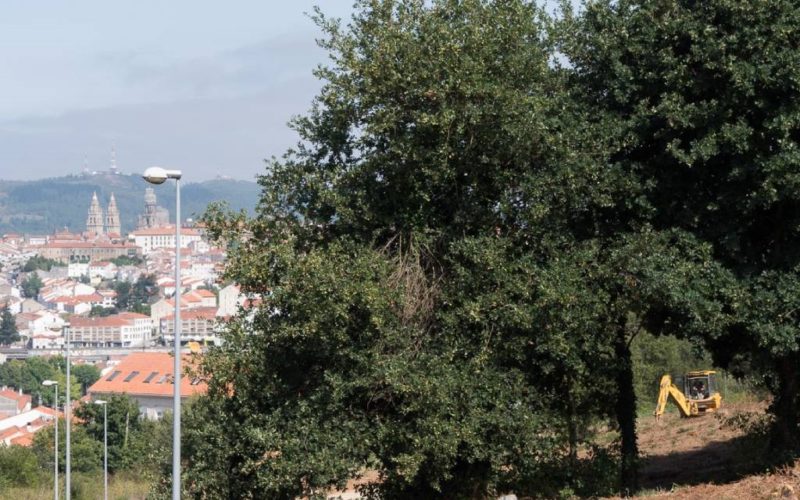 PP e BNG vetaron a creación dunha rede de bosques autóctonos públicos en Galicia