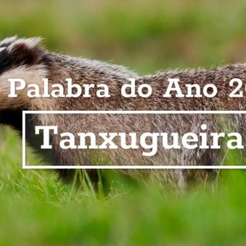 ‘Tanxugueiras’, Palabra do Ano 2021