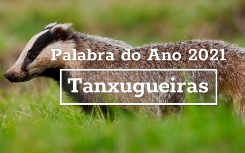 ‘Tanxugueiras’, Palabra do Ano 2021