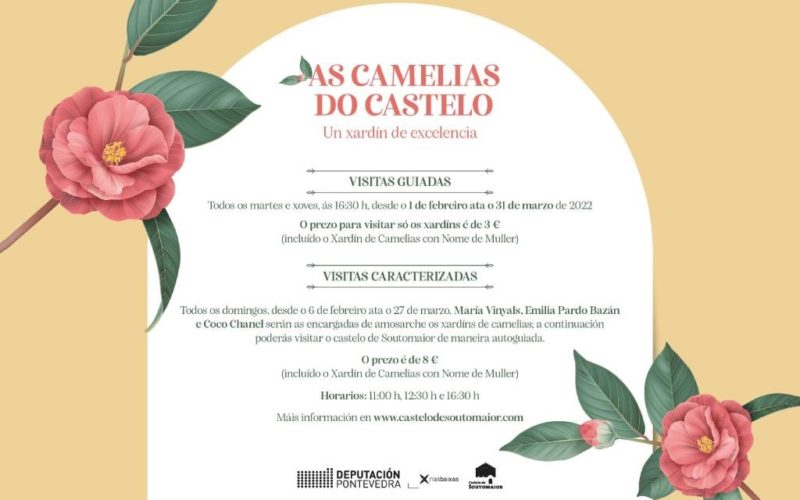 Volven as visitas guiadas ás Camelias do Xardín do Castelo de Soutomaior