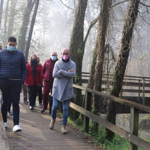 O Porriño recupera o Paseo do Louro