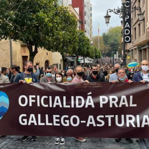 A RAG reclama que o novo Estatuto de Autonomía de Asturias declare a oficialidade do galego