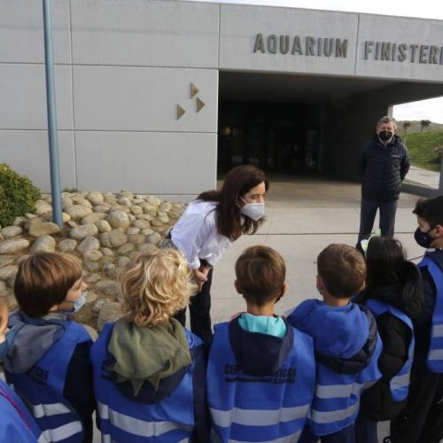 Visitante 6 millóns no Aquarium Finisterrae da Coruña