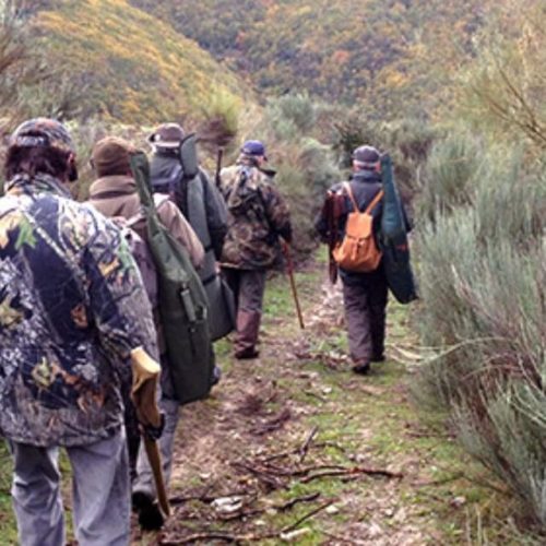 Galicia en Común denuncia o risco de accidente polas batidas de caza