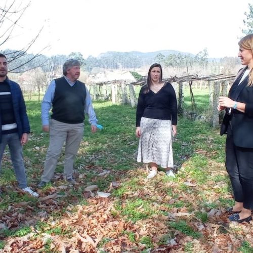 Movemento Salceda agradeceu a Ana Pastor a súa aclaratoria sobre a revisión catastral