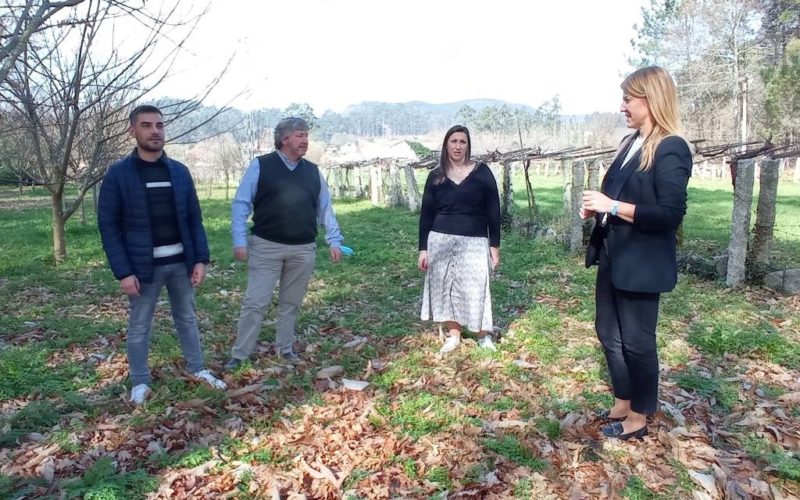 Movemento Salceda agradeceu a Ana Pastor a súa aclaratoria sobre a revisión catastral