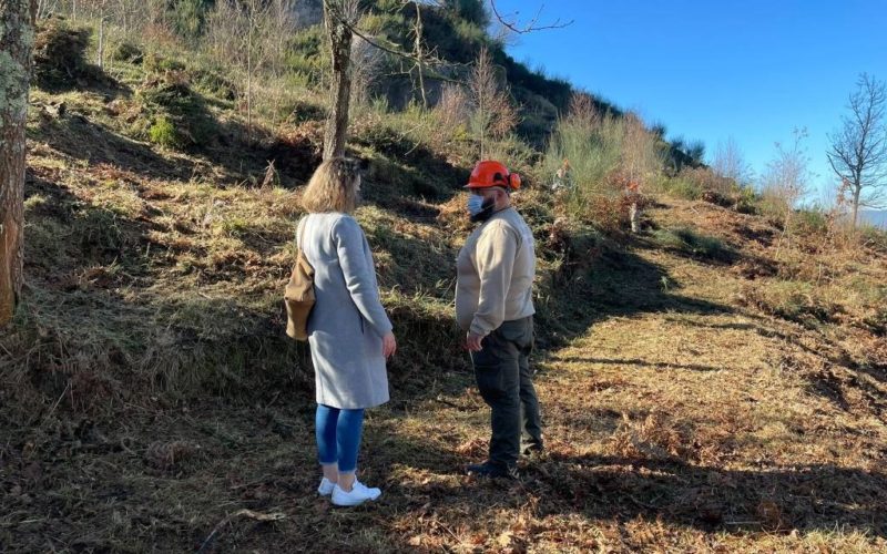 Salvaterra e Salceda organizan obradoiro conxunto de emprego sustentable