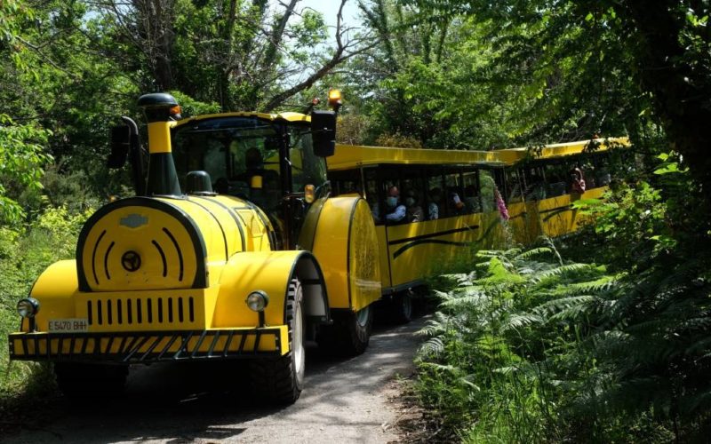 Tren Turístico Aba Sacra por Amandi