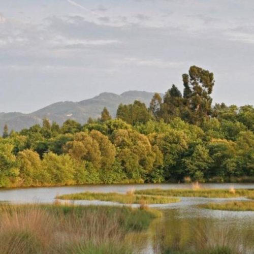 Semana da Floresta e da Água em Ponte de Lima