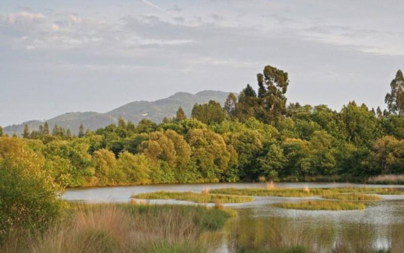 Semana da Floresta e da Água em Ponte de Lima