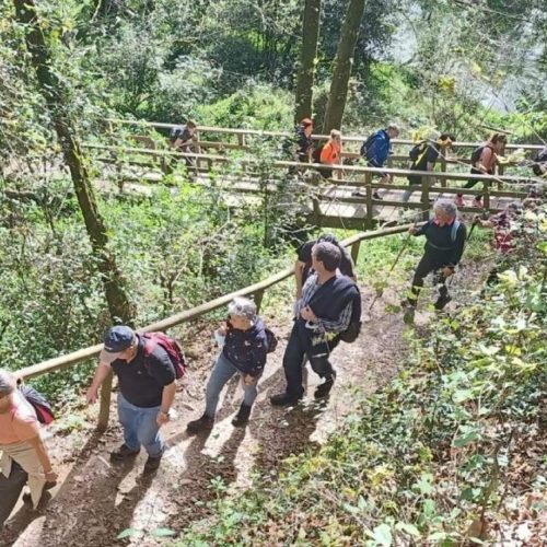 Éxito absoluto na primeira andaina polo Miño e viñedos en Salvaterra