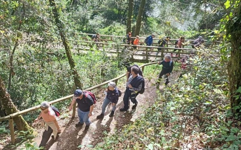 Éxito absoluto na primeira andaina polo Miño e viñedos en Salvaterra