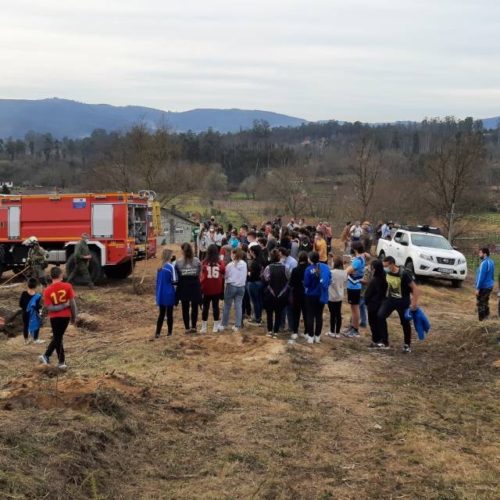 Plantan 150 castiñeiros en Salvaterra de Miño