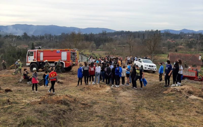 Plantan 150 castiñeiros en Salvaterra de Miño