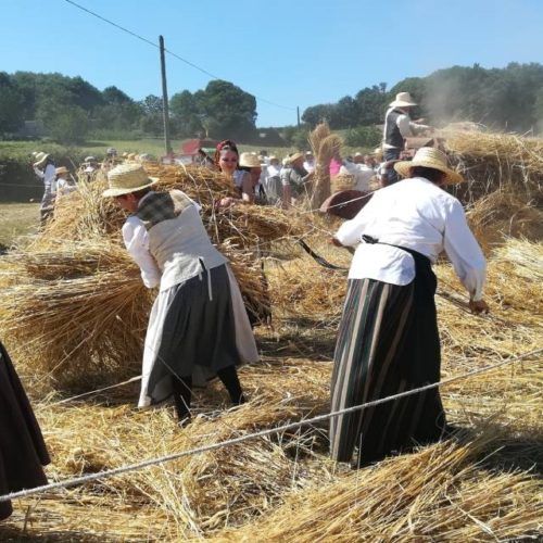 A malla tradicional de Doade (Lalín) xa é festa de interese turístico de Galicia.