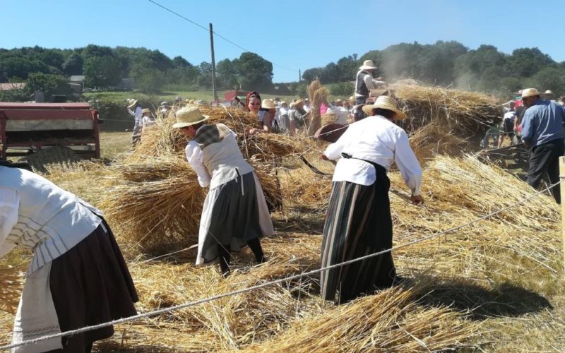 A malla tradicional de Doade (Lalín) xa é festa de interese turístico de Galicia.