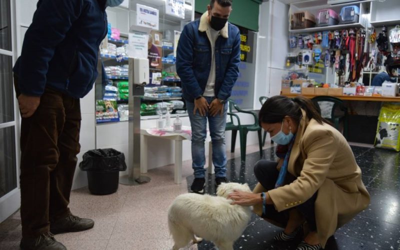 Campaña de implantación de microchip para cans en Mos