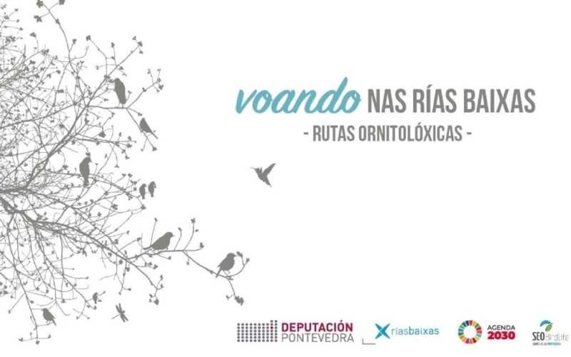 Esgotadas as prazas para o programa “Voando Rías Baixas” en Tui