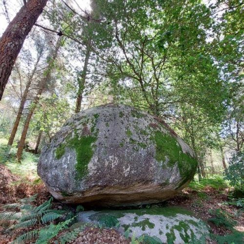 O BNG de Mos pide reforzar a propiedade veciñal do monte común