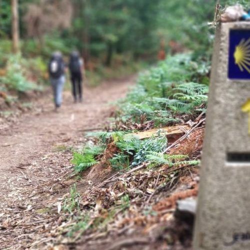 Deputación da Coruña e Asociación de Concellos do Camiño Inglés impulsarán a mellora desta ruta xacobea