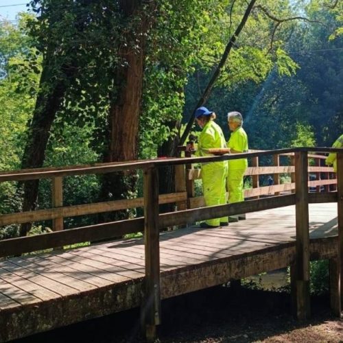 Licitada a limpeza e mantemento do Paseo do Louro no Porriño