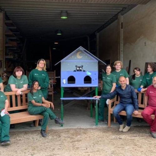 O Porriño instalará casetas para gatos na rúa