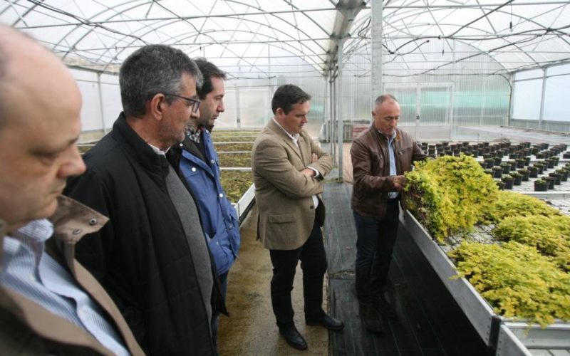 Mención especial por innovación agraria a un viveiro de Sober