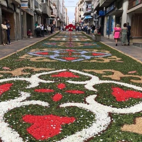 As Alfombras Florais voltaron a encher de cor as rúas guardesas