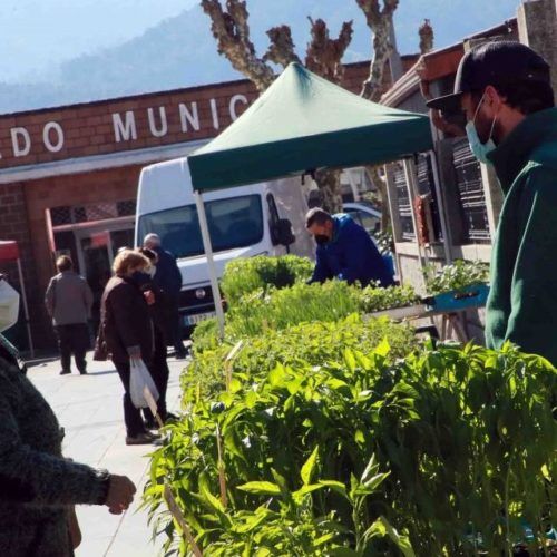 Arbo terá Mercadillo Ambulante tódolos mércores