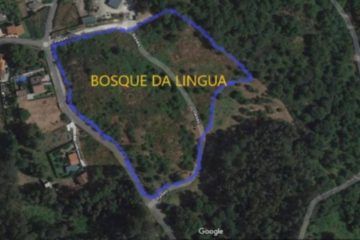 O Bosque da Lingua toma forma cun anfiteatro en Couso (Gondomar)